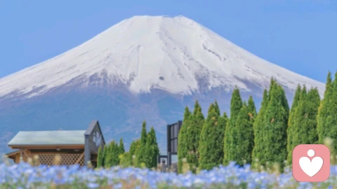 出轨：一场双向消耗的情感困局