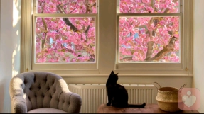 总是“对着干”：不是叛逆，是藏在“对抗”背后的渴望被看见