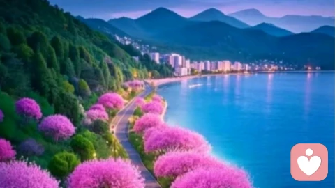 從不求人,不是強(qiáng)大,是孤獨(dú)在心里筑了墻