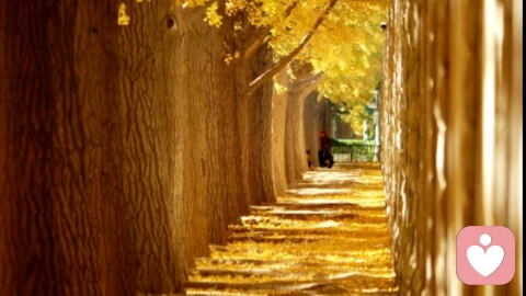 別讓你的“輕易”付出,辜負(fù)了本該被珍視的自己