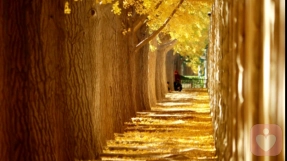 别让你的“轻易”付出，辜负了本该被珍视的自己