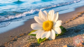 心理边界效应：敢吵架，敢冲突，敢强势的人，才是命运的强者