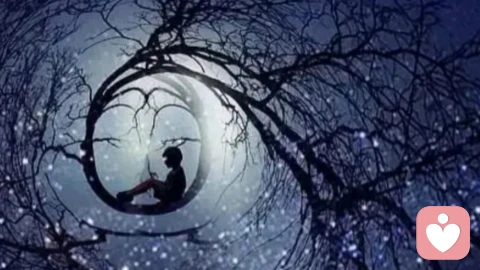 在情感的世界里，思念如同藤蔓，一旦生根发芽，便会疯狂生长，常常让人难以抑制