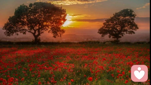 淬火效应：面对强势，如何做自己的“钢铁”