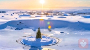 共生依赖：别让“我爱你”，变成“我离不开你”