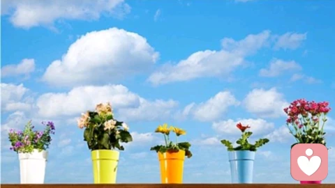 掌握“灰岩效应”:不讨好、不硬刚,从容应对不尊重你的人