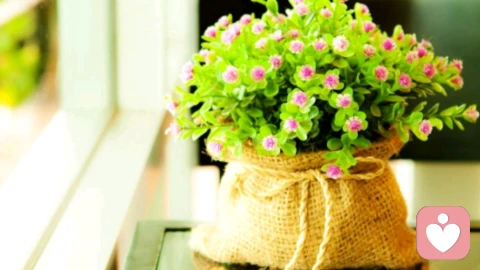 别做别人故事里的配角，活成自己人生的主角