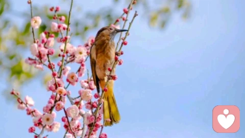 刺破隐性挑衅：不做玻璃心，也不当受气包
