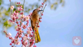 刺破隐性挑衅：不做玻璃心，也不当受气包