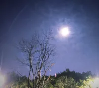 為什么總是幻想自己的女友或妻子和別人發生關系。
其實這里面隱藏著一系列動機。要么是不自信，要么是性生活不和諧……
但是，如果僅僅是偶爾的幻想，那么是沒問題的。如果是經常性的，那么就需要深入挖掘其中的動機了