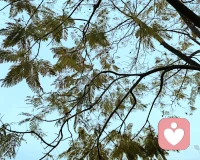 大四毕业，已经谈了一年多了，旅游，吃吃喝喝，亲亲抱抱，那啥事（愉悦的互动）也和对象做过，想问什么请问吧[捂脸R]。感情的疑惑与困惑，心理的压抑……都行