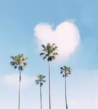 一个人如果连情绪都控制不了，那即给你整个世界，你早晚也会毁掉一切的，脾气永远不要大于本事，记住，没有收拾残局的能力，就不要放纵你那善变的情绪！配图