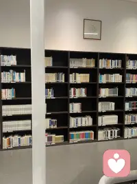 婚姻的四個階段：蜜月期，權力斗爭期，死寂期，共創期。不能過度好權力斗爭期和死寂期的婚姻是到不了共創期的。配圖