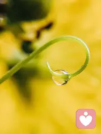 一个好的父亲需要给孩子灌输信念，需要有幽默感，需要给孩子勇气。配图