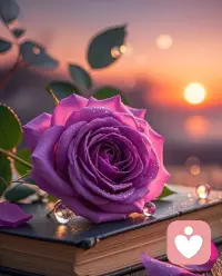 当控制存在时，爱就消失。配图