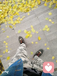 深秋即將入冬的東北
竟然，在重陽節(jié)的當(dāng)天打雷???又閃電?
下起了絲絲細(xì)雨
這個世界永遠(yuǎn)不是完美的
要接受并允許一切發(fā)生
因?yàn)椋煌昝啦攀浅B(tài)…………配圖