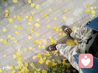 深秋即將入冬的東北
竟然，在重陽節(jié)的當(dāng)天打雷???又閃電?
下起了絲絲細(xì)雨
這個世界永遠(yuǎn)不是完美的
要接受并允許一切發(fā)生
因?yàn)椋煌昝啦攀浅B(tài)…………配圖