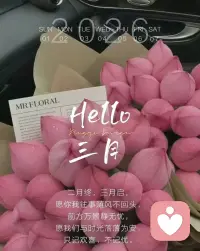 年前和年后断断续续花了一个多月的时间终于读完了毛姆的这本超长篇自传体小说《人性的枷锁》，总共一千多页，分为上下册俩本。起初，阅读的时候感触不大，因为书中有一些西方的历史背景和人文环境不够了解，除了书下面👇有一些注释之外，还需要一边阅读一边查阅一些资料📄。但是，读到中期的时候，你会发现你开始在书中能够看到了自己的影子，那种感觉是那么真实，那么清晰。读到最后快结尾的时候，我发现，不经意间的阅读，竟然解开了我困惑已久的一个问题。这个问题就是:人，活着的意义究竟是什么？其实，生命和生活本身并没有任何的意义，所谓的意义都是人所赋予的假象！每一个人都只是一个我们这个星球上的碳基生命体，而且这样的生命体多如牛毛，而类似我们生活的这个地球🌍在宇宙中又数不胜数，我们其实大抵生活在规律之中。黑白交替，春夏秋冬，寒来暑往，六道轮回，就是俩个字:规律！这也是我们的祖先在几千年以来就已经悟透了的道理。接触了易经之后，又断了上千个缘主的八字。很多人会奇怪，为什么八个字就能解释了一个人一生大抵会经历的事情。答案，还是那俩个字:规律！所以啊，生命本身没有意义，它也不存在意义，也不要在给它赋予太多的枷锁了，这样只会活的更累，就好比这个世界本来就没有时间一样，只是，作为人类，我们需要所谓的(时间)这个概念来规范我们的日常生活，就好比这个世界其实在混沌初开的时候并没有好坏之分，有的只是立场之分是一个道理……所以，在修行的初期，你会经历突然顿悟，然后又逐渐陷入迷茫之中，然后崩溃，歇斯底里，与自己过不去，最后，一个奇缘巧合，可能是一个人，也可能是一件事，突然就打通了您的任督二脉……所以，我们所谓的苦痛，除了实际的身体上的病痛之外，大多数的苦痛都是我们内心的投射赋予我们的……当你发现，某一天，你对你之前所爱吃的食物没有太多的胃口了，对之前所爱的人不执着了，对金钱，欲望没有执念了，对穿衣打扮也无所谓了，就是你与这个宇宙能量波最接近同频的时候……配图