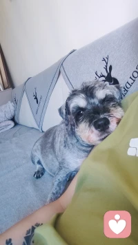 人生总有些遗憾，像一片落叶，轻轻飘过却再也拾不起来。那些未说出口的话，未完成的事，未牵到的手，在记忆里留下淡淡的痕迹。遗憾不是失败，而是心底的一抹温柔，提醒我们曾经在乎过。它像一场未赴的约，一本未读完的书，一段未走完的路，让人在夜深人静时轻轻叹息。但正是这些遗憾，让生命有了重量，让回忆有了温度。或许，遗憾的存在，是为了让我们更懂得珍惜当下。配图