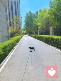 满园绿色
春季当旺
为震卦
为春季
为绿色
为走动
为舒展
所以，八字命盘木火能量弱的人
定要补充木气，多晒太阳☀
让春风拂面，感受春的生发之气
修行，就是要用心感受大自然
一年四季，春夏秋冬，寒冷交替
皆为宇宙万物之规律
也皆为道法自然🙏🙏🙏配图