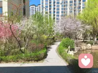 满园绿色
春季当旺
为震卦
为春季
为绿色
为走动
为舒展
所以，八字命盘木火能量弱的人
定要补充木气，多晒太阳☀
让春风拂面，感受春的生发之气
修行，就是要用心感受大自然
一年四季，春夏秋冬，寒冷交替
皆为宇宙万物之规律
也皆为道法自然🙏🙏🙏配图