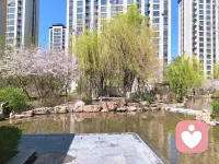 满园绿色
春季当旺
为震卦
为春季
为绿色
为走动
为舒展
所以，八字命盘木火能量弱的人
定要补充木气，多晒太阳☀
让春风拂面，感受春的生发之气
修行，就是要用心感受大自然
一年四季，春夏秋冬，寒冷交替
皆为宇宙万物之规律
也皆为道法自然🙏🙏🙏配图