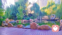 满园绿色
春季当旺
为震卦
为春季
为绿色
为走动
为舒展
所以，八字命盘木火能量弱的人
定要补充木气，多晒太阳☀
让春风拂面，感受春的生发之气
修行，就是要用心感受大自然
一年四季，春夏秋冬，寒冷交替
皆为宇宙万物之规律
也皆为道法自然🙏🙏🙏配图