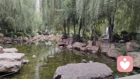 满园绿色
春季当旺
为震卦
为春季
为绿色
为走动
为舒展
所以，八字命盘木火能量弱的人
定要补充木气，多晒太阳☀
让春风拂面，感受春的生发之气
修行，就是要用心感受大自然
一年四季，春夏秋冬，寒冷交替
皆为宇宙万物之规律
也皆为道法自然🙏🙏🙏配图
