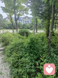 心理咨詢接待的來訪者多了，讓我深刻的體會到“有些人用童年治愈一生，有些人卻用一生治愈童年”，童年的經歷會影響到成人之后的行為，父母們要引導孩子有一個正確的三觀，要給孩子樹立一個榜樣，不要讓孩子健康的身體里里面有一個生病的靈魂，這會影響他的一生。配圖