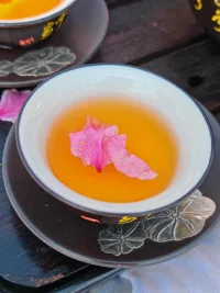 最近的生活就像一本打開的心理書，
每一頁都充滿了故事和啟示
作為一名心理咨詢師
我深感自己不僅是在傾聽
更是在陪伴每一個迷茫的心靈找到方向。配圖