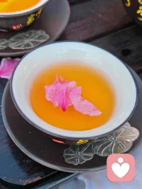 不喜歡的事情，
勇敢拒絕，
感興趣的機會，
主動嘗試[愛心]
內心激蕩的情感，
積極表達[嘴唇]

尊重內心的每一分體驗
聆聽內在靈魂的聲音
才能獲得真正的舒心暢快～配圖