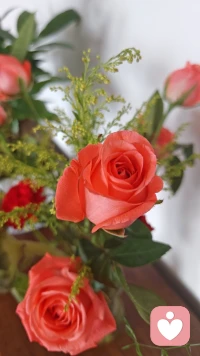 是人與人之間的溝通和交流
才賦予了你生活的喜樂、意義和目標(biāo)。
也正因為如此，
你同他人之間的關(guān)系會對你的生活
產(chǎn)生重要的影響。配圖