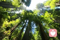 [太陽]世界上最珍貴的三個詞:
認真、堅持、感恩。

認真的人改變了自己，
堅持的人改變了命運，
感恩的人留住了幸福。配圖