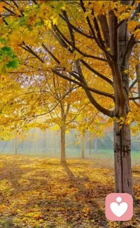 励志就像攀登高峰，每一步都充满挑战，但当你站在山顶，回望来路，那些汗水与努力都化作了脚下的风景，证明了你曾无畏前行，而山巅的风，正是对勇者最温柔的奖
赏。配图