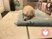 记住，你不是一个人在战斗。
你值得拥有幸福和快乐。配图