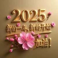 2024再見，2025你好!愿我們在新的一年里繼續書寫我們的故事。配圖