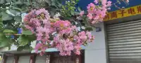 你的被壓抑的情緒，原來還可以裝在你的心里，但日復一日，年復一年，終于也到了裝不下去的時候了，你打算什么時候傾倒一下呢?我是咨詢師陽光，如果可以，請讓我來幫助你，帶你走出壓抑的境地，還你內心的輕松與喜悅好嗎?配圖