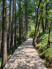 如果你不能感受到你的情緒，或是切斷了與情緒的聯(lián)系，那么你最終會(huì)在純生理這一層面體驗(yàn)到它們，它們會(huì)以生理問題或疾病的形式出現(xiàn)。