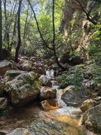 外面下著細(xì)雨，沖刷著外面的世界，這這種感覺真的很安定舒服，開心??
