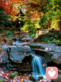 無論你遇見誰，那都是對的人。無論你發生什么事，那都是唯一會發生的事。不管事情開始于哪個時刻，都是對的時刻。已經結束的，已經結束了。。配圖