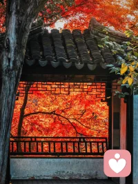 無論你遇見誰，那都是對的人。無論你發生什么事，那都是唯一會發生的事。不管事情開始于哪個時刻，都是對的時刻。已經結束的，已經結束了。。配圖