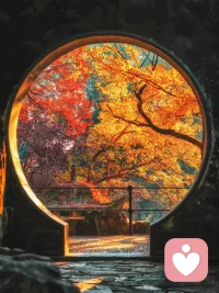 無論你遇見誰，那都是對的人。無論你發生什么事，那都是唯一會發生的事。不管事情開始于哪個時刻，都是對的時刻。已經結束的，已經結束了。。配圖