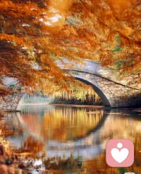 無論你遇見誰，那都是對的人。無論你發生什么事，那都是唯一會發生的事。不管事情開始于哪個時刻，都是對的時刻。已經結束的，已經結束了。。配圖