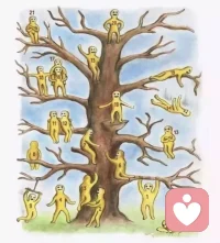 來看看你覺得你自己是圖中的哪個小人吧？
私信我看對應解釋哦～配圖