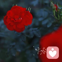 網上看到一段話：
“你為什么結婚？因為我內心有愛，想把這愛分享給配得上的人。
你為什么離婚？因為我愛我自己，想過上更好的人生。
你為什么再婚？因為我遇見了愛情，想在新的關系里成為更棒的自己?！?你看完之后，有什么感受呢？配圖