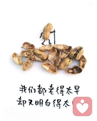 歲歲重陽，今又重陽，窗外木樨分外香。與歲月對望時，朋友們都老了配圖