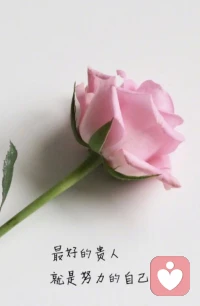 立冬了，就不要想秋天的事了，該黃的都黃了，該涼的都涼了，努力賺錢吧，畢竟冬天的衣服比秋天的貴。 周四早安，心情美美噠[玫瑰][玫瑰][玫瑰]配圖