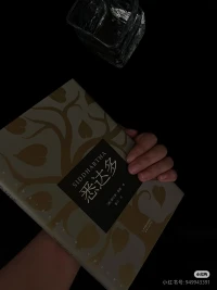 我們這一生，要自己上路。路過躊躇滿志，路過困頓懷疑。路過傲慢無禮，路過世俗功利。路過愛與不愛，路過幡然醒悟。路過接受理解，路過自己的一生。配圖