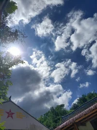 風動心搖樹，云生性起塵。
若明今日事，昧卻本來人。配圖