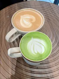 我們都會迷茫，才需要修心。影響綻放的因素有自我否定、瑣事過多、過分模仿他人及內心匱乏感，學會調整心態，專注自身成長。

??克服迷茫的路徑是修行與明心見性。配圖